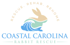 Coastal Carolina Rabbit Rescue logo