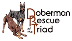 Doberman Rescue of the Triad logo