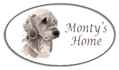 Monty's Home logo