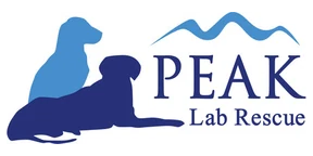 Peak Lab Rescue logo