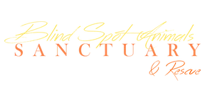 Blind Spot Animal Sanctuary and Rescue logo