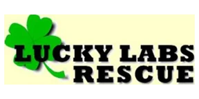 Lucky Labs Rescue logo