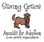 Saving Grace Animals for Adoption logo
