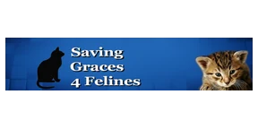 Saving Graces 4 Felines logo