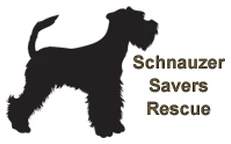 Schnauzer Savers Rescue (North Carolina) logo