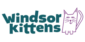 Windsor Kittens logo