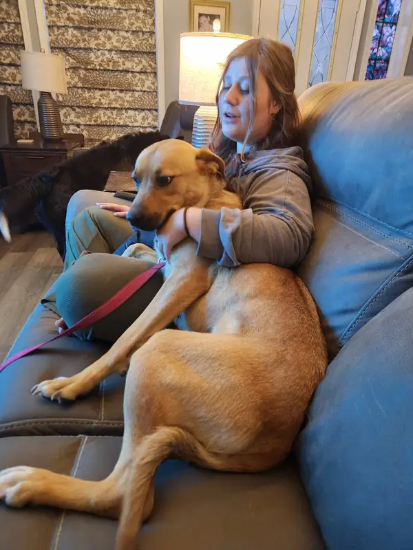 Missy, Shepherds (All Types)