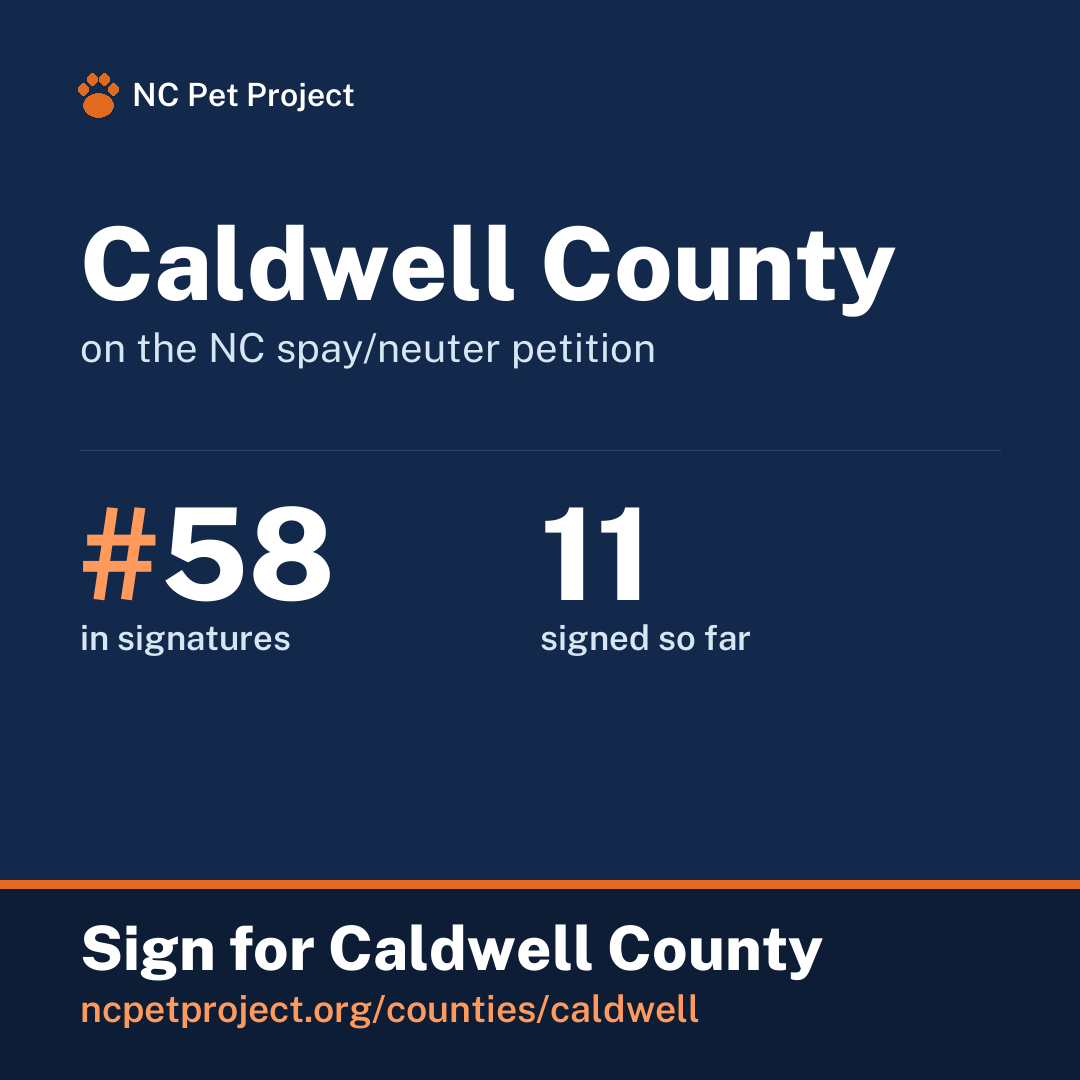 Caldwell County's live place on the NC spay/neuter petition leaderboard. Sign for Caldwell County at ncpetproject.org.