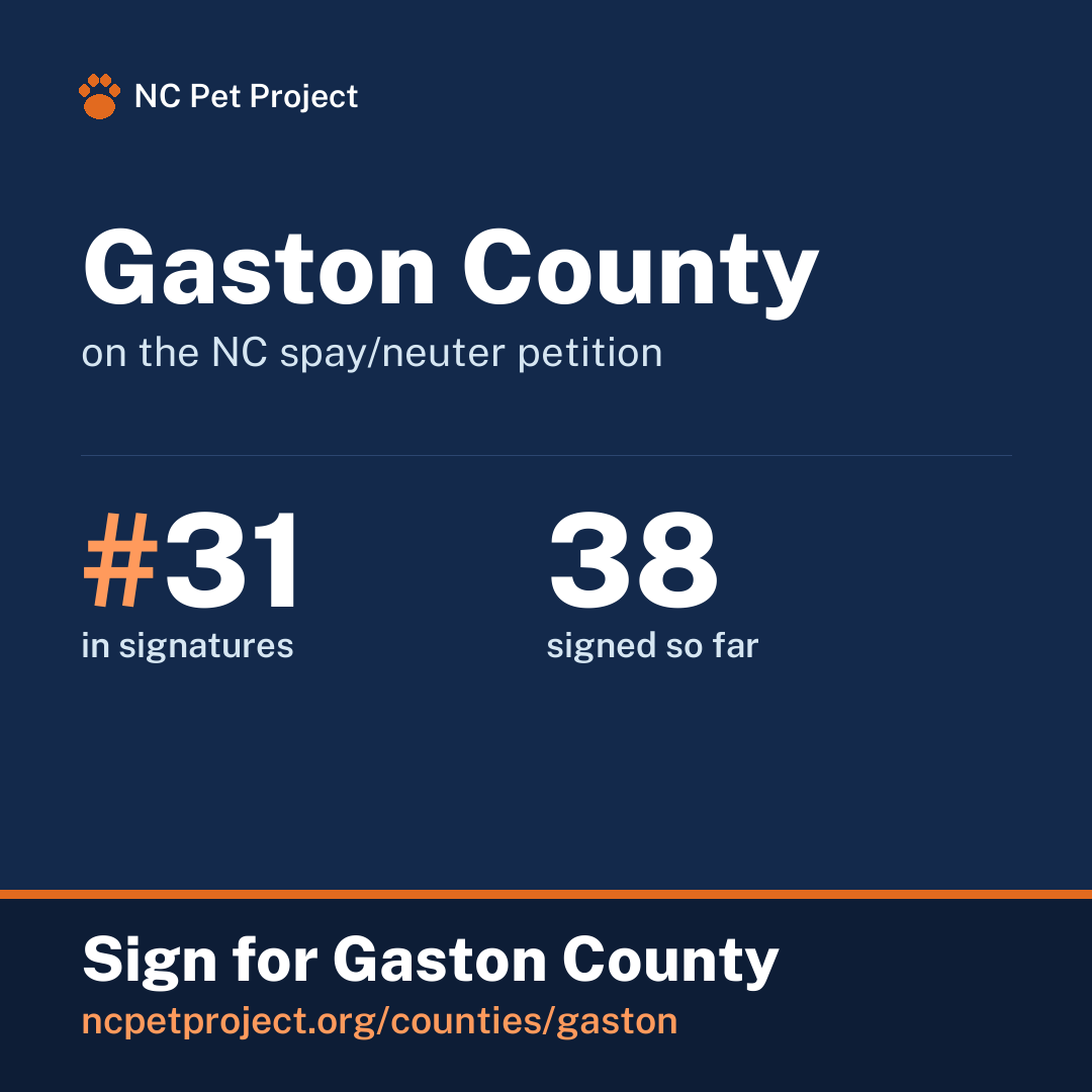 Gaston County's live place on the NC spay/neuter petition leaderboard. Sign for Gaston County at ncpetproject.org.