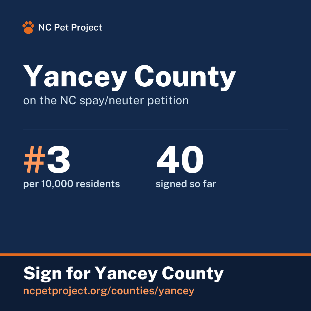 Yancey County's live place on the NC spay/neuter petition leaderboard. Sign for Yancey County at ncpetproject.org.